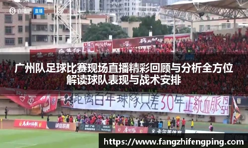 风云体育直播