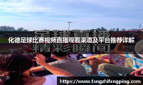 风云体育直播