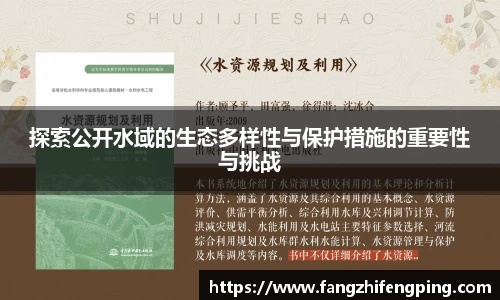 风云足球