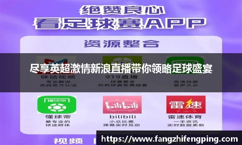 尽享英超激情新浪直播带你领略足球盛宴